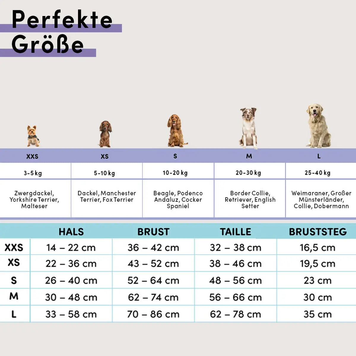 STUCH Hundegeschirr gepolstert - Beige L