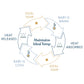 HALO SleepSack Swaddle "IdealTemp" 3-6 Monate