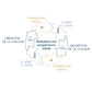 HALO SleepSack Swaddle "IdealTemp" 3-6 Monate