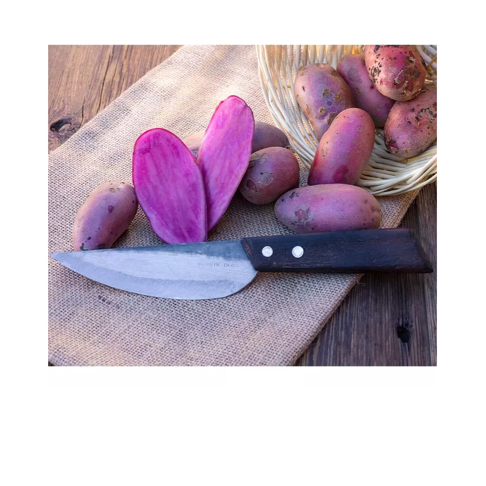 AUTHENTIC BLADES  – Asiatisches Küchenmesser aus Kohlenstoffstahl, handgeschmiedet