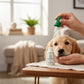 TraumaPet Augentropfen für Hunde – Kolloidales Silber 10 ml