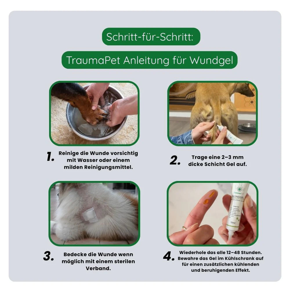 TraumaPed Wundgel für Hunde & Katzen – kolloidales Silber, antibakteriell, 15ml