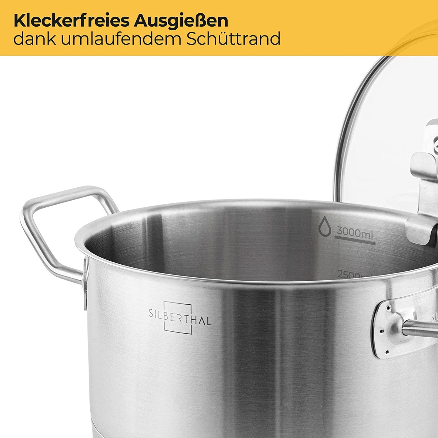 Silberthal Induktions-Kochtopf aus Edelstahl 20 cm, 3,5L mit Deckel